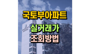 Read more about the article 국토부아파트실거래가조회 방법! 장단점까지 총 망라