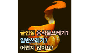 Read more about the article 귤 껍질! 음식물 쓰레기 or 일반쓰레기? 어렵지 않아요.