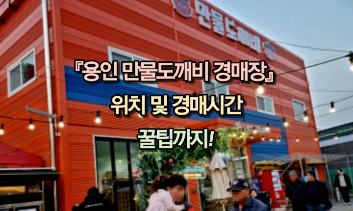 용인-만물도깨비경매장-위치-시간-꿀팁-썸네일