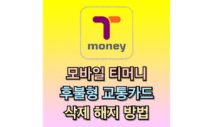 Read more about the article 모바일 티머니 후불형 교통카드 삭제 해지