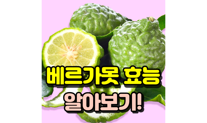 베르가못-효능-폴리페놀-썸네일