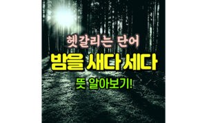 Read more about the article 밤을 새다 세다 뜻! 알면 알수록 헷갈리는 단어