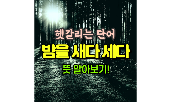 밤을-새다-세다-뜻-단어-썸네일