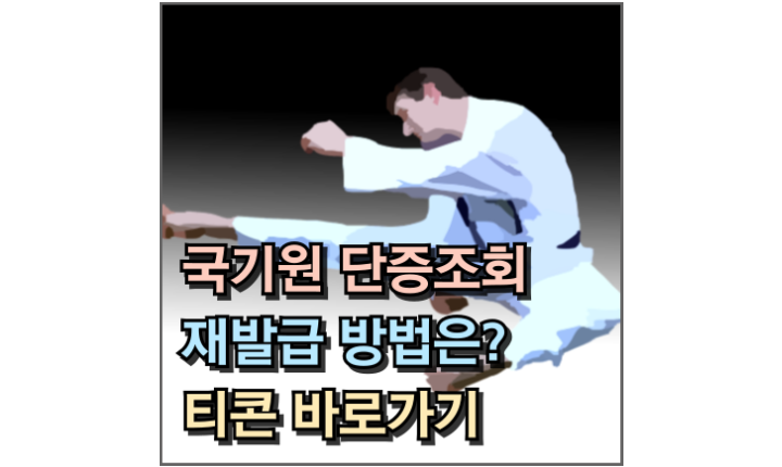 Read more about the article 국기원 단증조회, 재발급 방법은? 태권도 티콘 바로가기