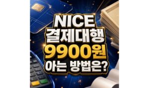 Read more about the article NICE결제대행 9900원 나이스 정보통신 통신판매 아는법